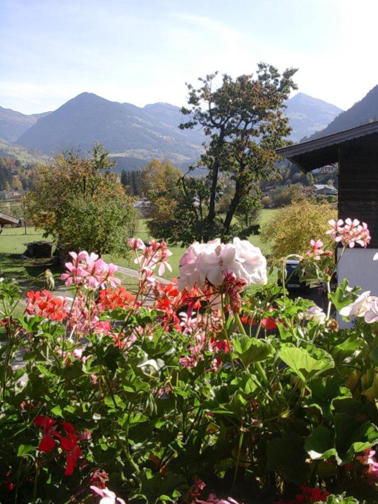 Bed and Breakfast Malernhof Kitzbühel Zewnętrze zdjęcie