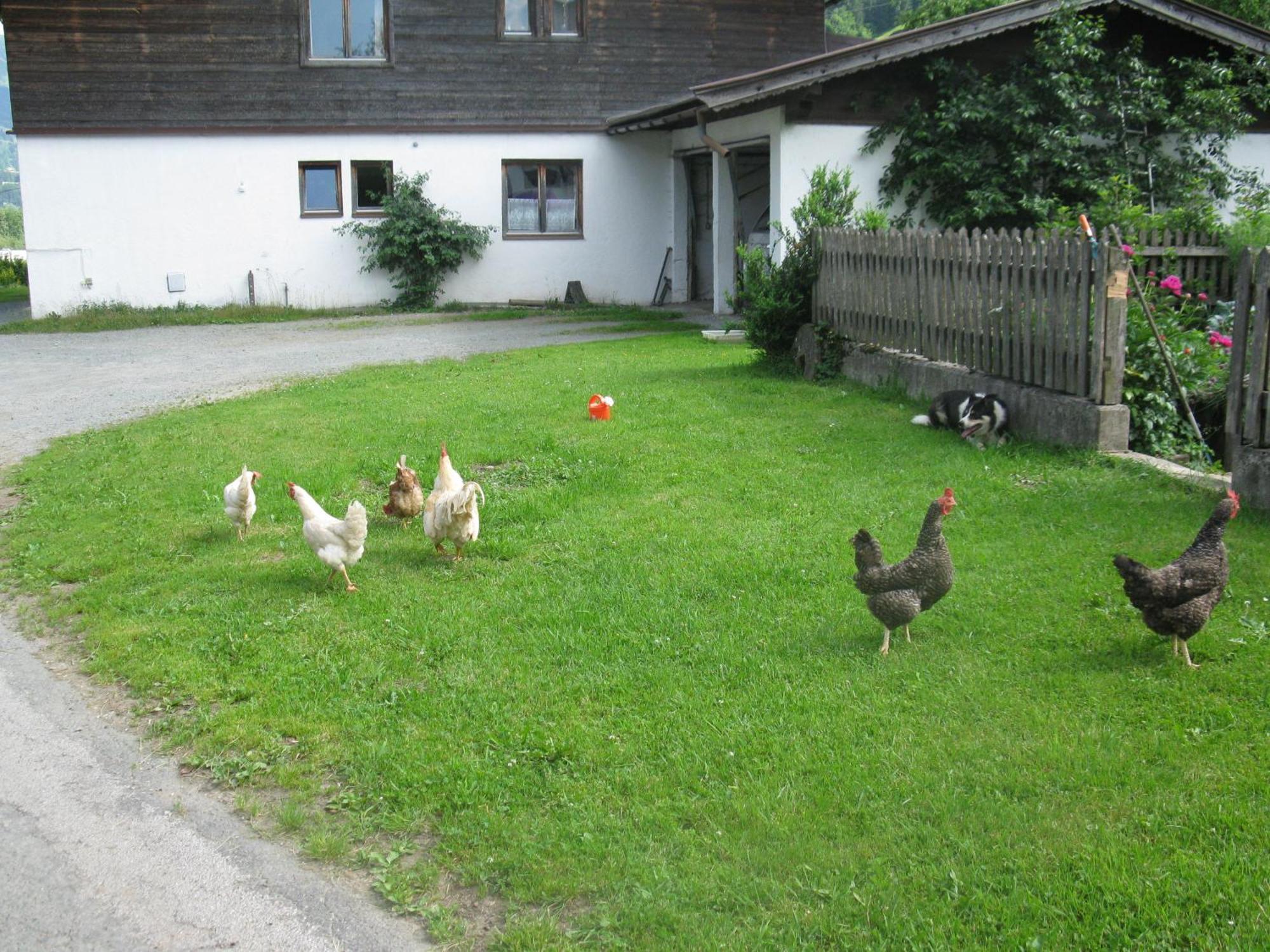 Bed and Breakfast Malernhof Kitzbühel Zewnętrze zdjęcie